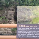 사문진로 티스토리