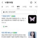 누벨르네일 - 달서구 | 누벨르네일