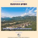 pet109더9730 | 켄싱턴리조트 설악밸리 후기 속초 감성 숙소 추천