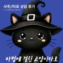 카톡 | 타로 사주 후기 | 카톡 사주 타로 &#39;마법에 걸린 고양이타로&#39; 솔직 리뷰