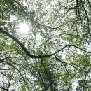 건강한미래항외과의원 이미지