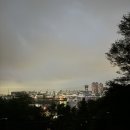 대한싸이로(주) 이미지