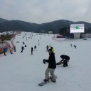 웰리힐리파크 이미지