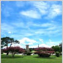 첨성대한의원 이미지