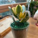 향천옥 이미지