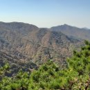 팔공산 하늘정원 이미지