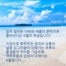 솜씨방 이미지