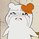 차이나직구 이미지