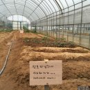 남희농장 이미지