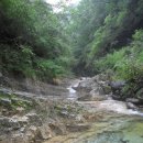 덕산기의아침 Daum카페