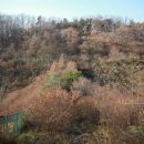 녹박재주유소 이미지