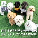 가치있개 반려견 유치원 | 양산애견유치원 선택 기준 1편: 결국 ‘사람’이 모든 것을 결정합니다.