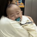 새론목장 | 232-5😅