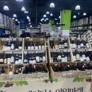 GS25히딩크점 | [술 한량] 이마트 트레이더스 봄 와인장터 1일차 후기, 트레이더스 와인장터 비비노, 이마트 트레이더스...