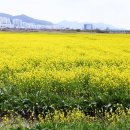 대저생태공원 이미지