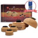 천년거북 희상 이미지