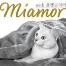 올캣코리아 이미지