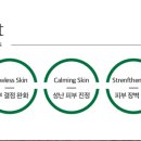 피오나화장품