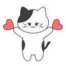 치즈폴댄스 이미지
