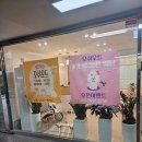 반려견미용 오쉬오트 거의 내돈내산 목욕후기