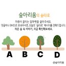 작은나무숲 이미지