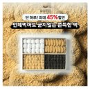 콩미당 이미지