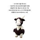 글로벌세무회계컨설팅 이미지