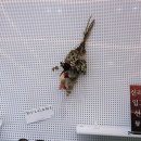 아이랜드안경전문점 이미지