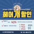 황금헤어 이미지