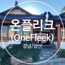 플리크(Fleek) 이미지