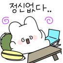 육백고지 캠핑장 이미지