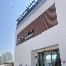 천사벽화마을 | 여수여행 고소동 천사벽화마을 솔직후기 반려동물 동반 여행