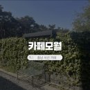 충남 서산 대형카페 추천 카페 모월, 분위기 좋은 자연뷰 케이크 맛집 내돈내산 후기