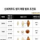 오븐필 이미지