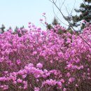 천주산 만남의 광장 이미지