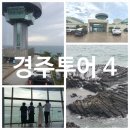 도로변(고척로 195) | 경주투어4,경주에 이런 곳이? (양남주상절리 전망대와 콘크 카페 )