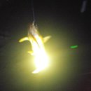 산우물소류지 이미지