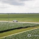 정용진농장 이미지