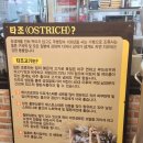 파주 타조고기 타조농장 우농가든 ,심학산바베큐그릴