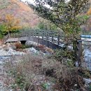 목교농장 이미지