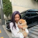 루나헤어 이미지