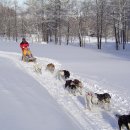 2014/2015 겨울 시즌 일본 원정 계획입니다. 이미지