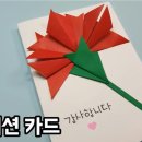 카네이션실버케어 이미지