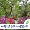 김동환농장 이미지