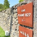 플랜트827