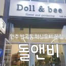 돌앤비 이미지
