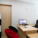 아그네스 통상 이미지