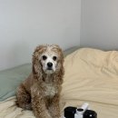 원대로-1 이미지