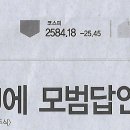 보인주 이미지