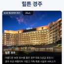 수영장 | 경주 힐튼호텔 유레카 수영장 후기 특가 할인 예약 방법